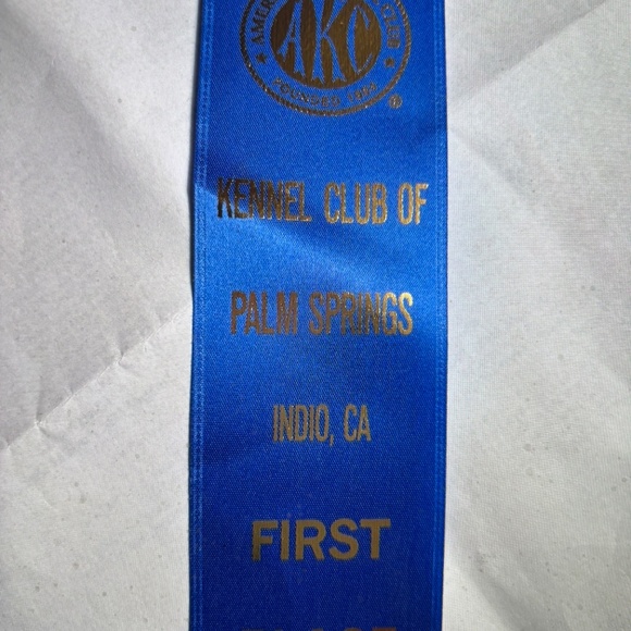 PATRICIA NASH MILAN ITALY-NWT $149.00 BELT OR SLING ! - Picture 16 of 16